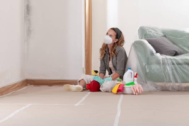 Reliable Mold Remediation contractor in Brielle, NJ by WQB Mold Removal